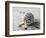 Gifts of the Shore XVII-Elena Ray-Framed Photographic Print