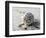 Gifts of the Shore XVII-Elena Ray-Framed Photographic Print