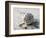 Gifts of the Shore XVII-Elena Ray-Framed Photographic Print