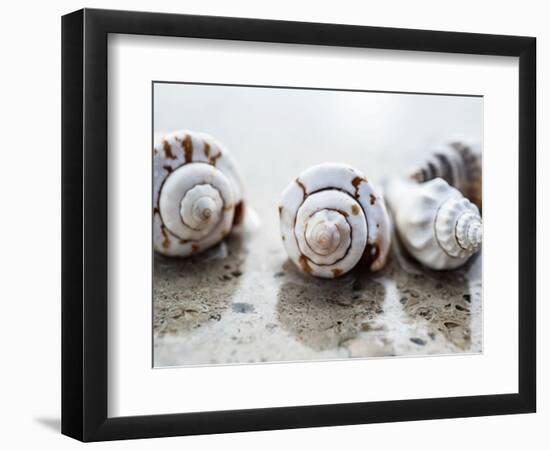 Gifts of the Shore XVIII-Elena Ray-Framed Photographic Print