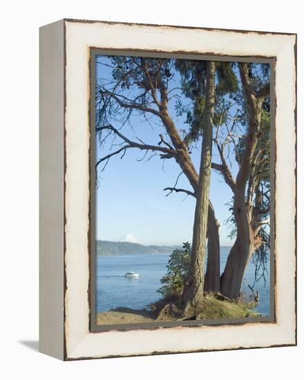 Gig Harbour, Washington State, USA-Ethel Davies-Framed Premier Image Canvas