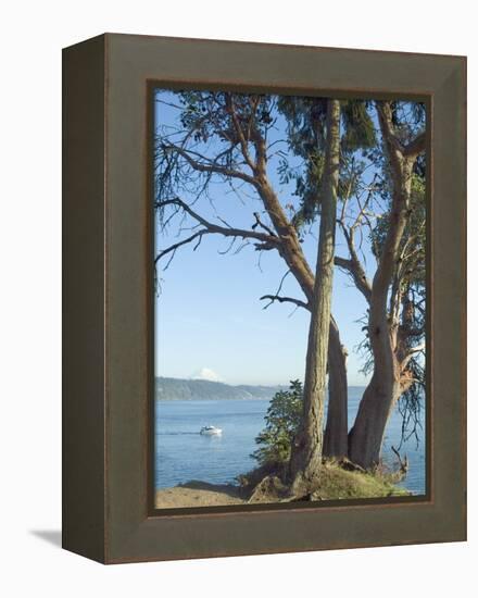 Gig Harbour, Washington State, USA-Ethel Davies-Framed Premier Image Canvas