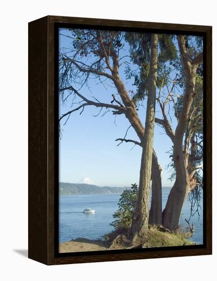 Gig Harbour, Washington State, USA-Ethel Davies-Framed Premier Image Canvas