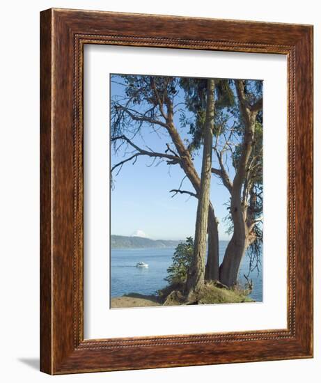 Gig Harbour, Washington State, USA-Ethel Davies-Framed Photographic Print