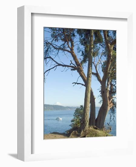 Gig Harbour, Washington State, USA-Ethel Davies-Framed Photographic Print