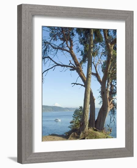 Gig Harbour, Washington State, USA-Ethel Davies-Framed Photographic Print