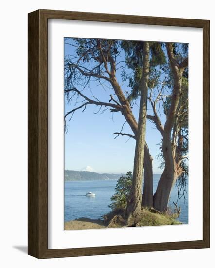 Gig Harbour, Washington State, USA-Ethel Davies-Framed Photographic Print