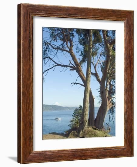 Gig Harbour, Washington State, USA-Ethel Davies-Framed Photographic Print