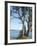 Gig Harbour, Washington State, USA-Ethel Davies-Framed Photographic Print