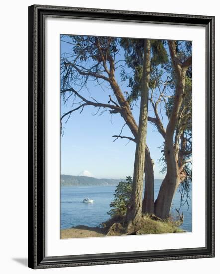 Gig Harbour, Washington State, USA-Ethel Davies-Framed Photographic Print