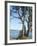 Gig Harbour, Washington State, USA-Ethel Davies-Framed Photographic Print