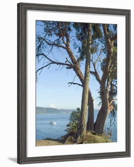 Gig Harbour, Washington State, USA-Ethel Davies-Framed Photographic Print