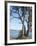 Gig Harbour, Washington State, USA-Ethel Davies-Framed Photographic Print