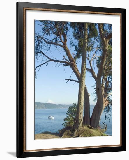 Gig Harbour, Washington State, USA-Ethel Davies-Framed Photographic Print