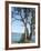 Gig Harbour, Washington State, USA-Ethel Davies-Framed Photographic Print