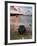 Gigabox-David Baker-Framed Photographic Print