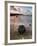 Gigabox-David Baker-Framed Photographic Print