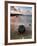 Gigabox-David Baker-Framed Photographic Print