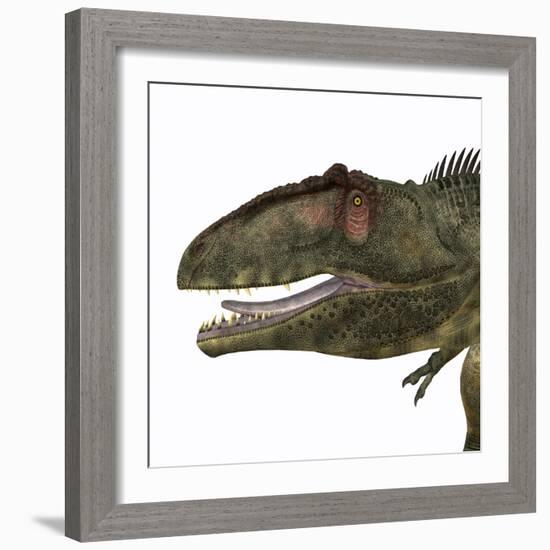 Giganotosaurus Dinosaur Head-Stocktrek Images-Framed Art Print