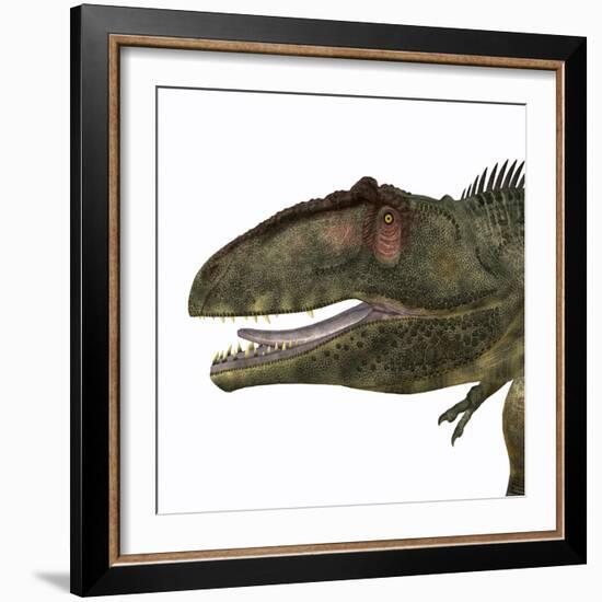 Giganotosaurus Dinosaur Head-Stocktrek Images-Framed Art Print