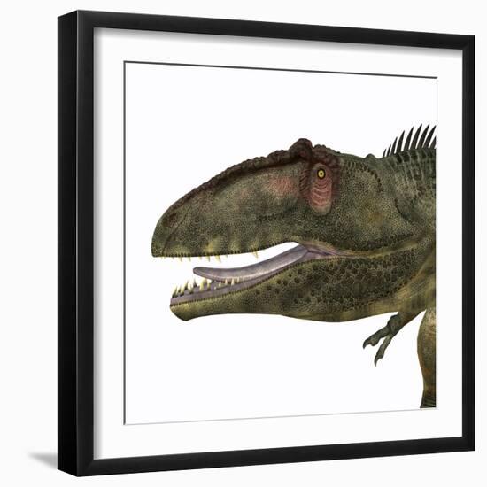 Giganotosaurus Dinosaur Head-Stocktrek Images-Framed Art Print