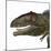 Giganotosaurus Dinosaur Head-Stocktrek Images-Mounted Art Print