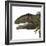 Giganotosaurus Dinosaur Head-Stocktrek Images-Framed Art Print