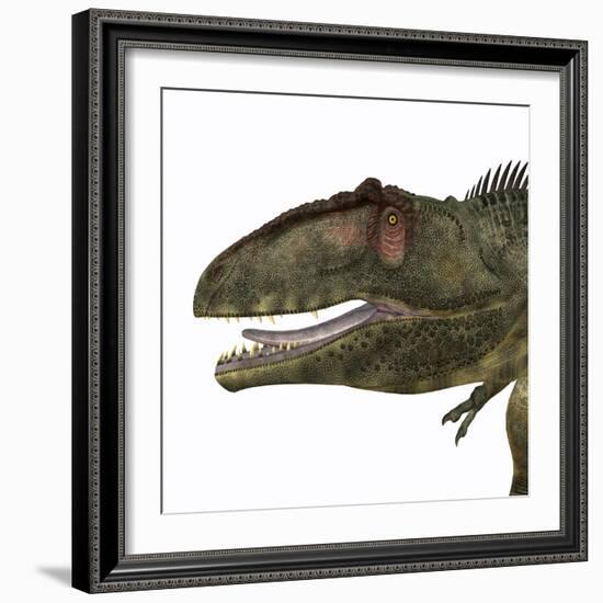 Giganotosaurus Dinosaur Head-Stocktrek Images-Framed Art Print