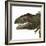 Giganotosaurus Dinosaur Head-Stocktrek Images-Framed Art Print