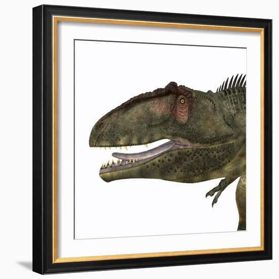 Giganotosaurus Dinosaur Head-Stocktrek Images-Framed Art Print