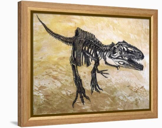 Giganotosaurus Dinosaur Skeleton-Stocktrek Images-Framed Stretched Canvas