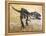 Giganotosaurus Dinosaur Skeleton-Stocktrek Images-Framed Stretched Canvas