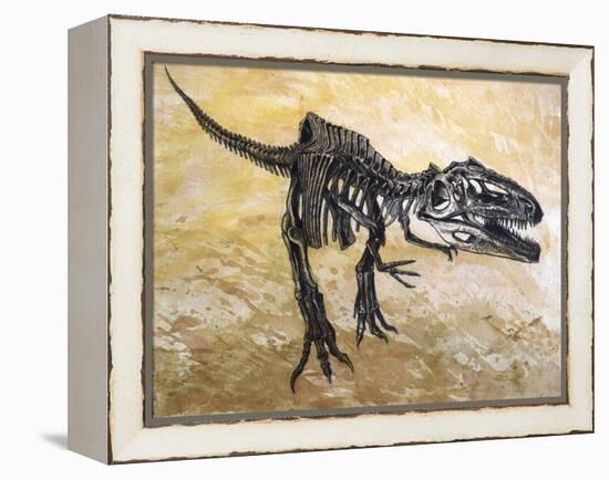 Giganotosaurus Dinosaur Skeleton-Stocktrek Images-Framed Stretched Canvas