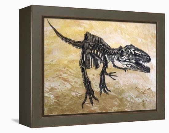 Giganotosaurus Dinosaur Skeleton-Stocktrek Images-Framed Stretched Canvas