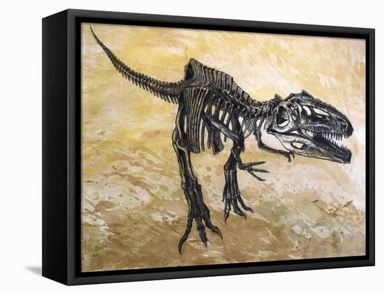 Giganotosaurus Dinosaur Skeleton-Stocktrek Images-Framed Stretched Canvas