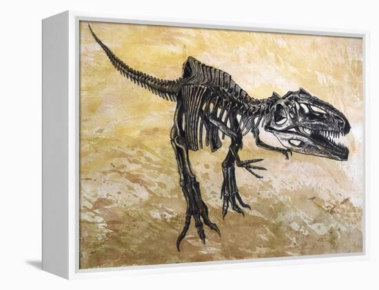 Giganotosaurus Dinosaur Skeleton-Stocktrek Images-Framed Stretched Canvas