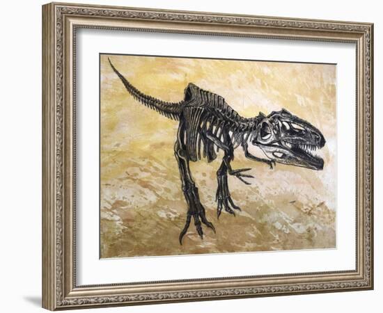 Giganotosaurus Dinosaur Skeleton-Stocktrek Images-Framed Art Print