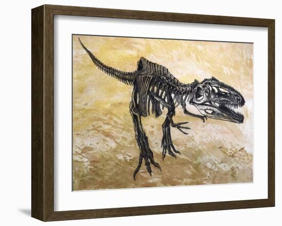 Giganotosaurus Dinosaur Skeleton-Stocktrek Images-Framed Art Print