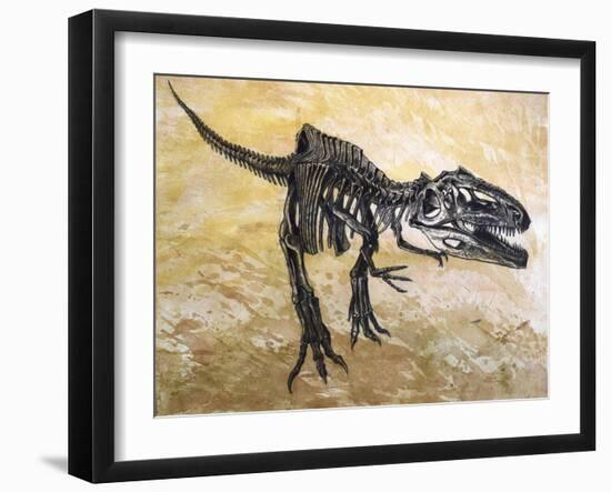 Giganotosaurus Dinosaur Skeleton-Stocktrek Images-Framed Art Print