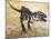 Giganotosaurus Dinosaur Skeleton-Stocktrek Images-Mounted Art Print