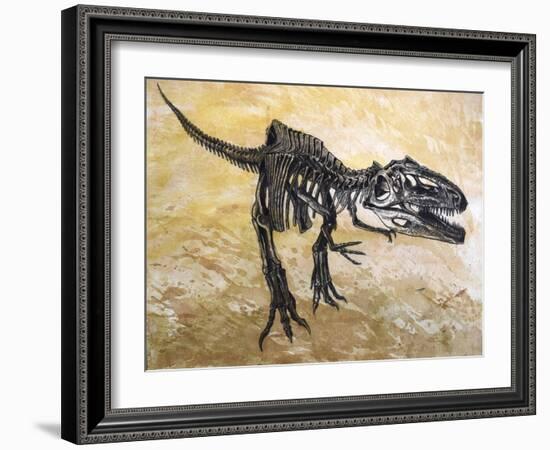 Giganotosaurus Dinosaur Skeleton-Stocktrek Images-Framed Art Print