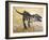 Giganotosaurus Dinosaur Skeleton-Stocktrek Images-Framed Art Print