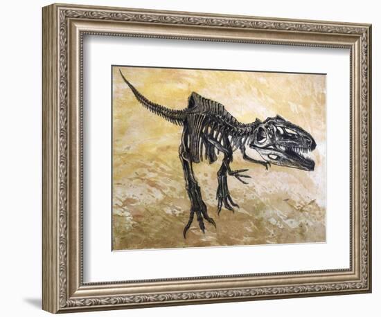 Giganotosaurus Dinosaur Skeleton-Stocktrek Images-Framed Art Print
