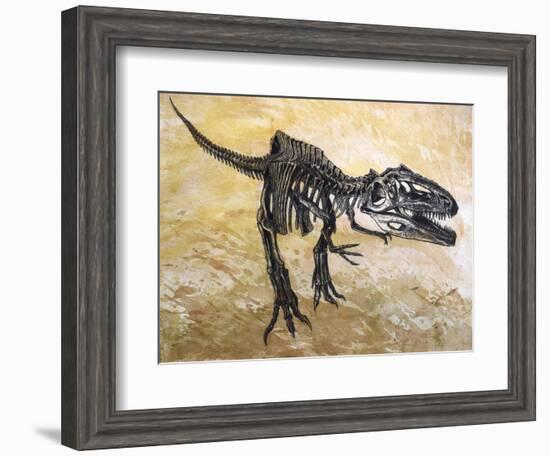 Giganotosaurus Dinosaur Skeleton-Stocktrek Images-Framed Art Print