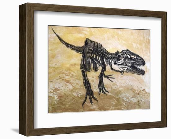 Giganotosaurus Dinosaur Skeleton-Stocktrek Images-Framed Art Print