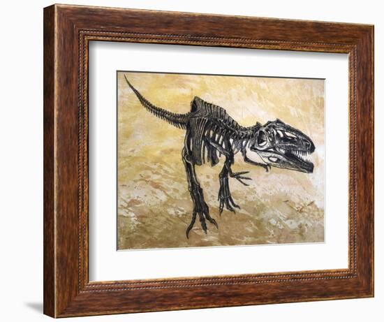 Giganotosaurus Dinosaur Skeleton-Stocktrek Images-Framed Art Print