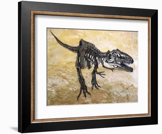 Giganotosaurus Dinosaur Skeleton-Stocktrek Images-Framed Art Print