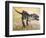 Giganotosaurus Dinosaur Skeleton-Stocktrek Images-Framed Art Print