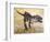 Giganotosaurus Dinosaur Skeleton-Stocktrek Images-Framed Art Print