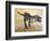 Giganotosaurus Dinosaur Skeleton-Stocktrek Images-Framed Art Print